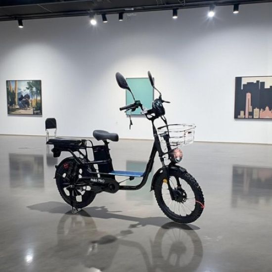 صورة الدراجة الكهربائية الروسية بمقاس 20 كفر عريض